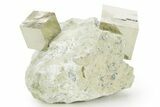 Two Natural Pyrite Cubes In Rock - Navajun, Spain #361873-1